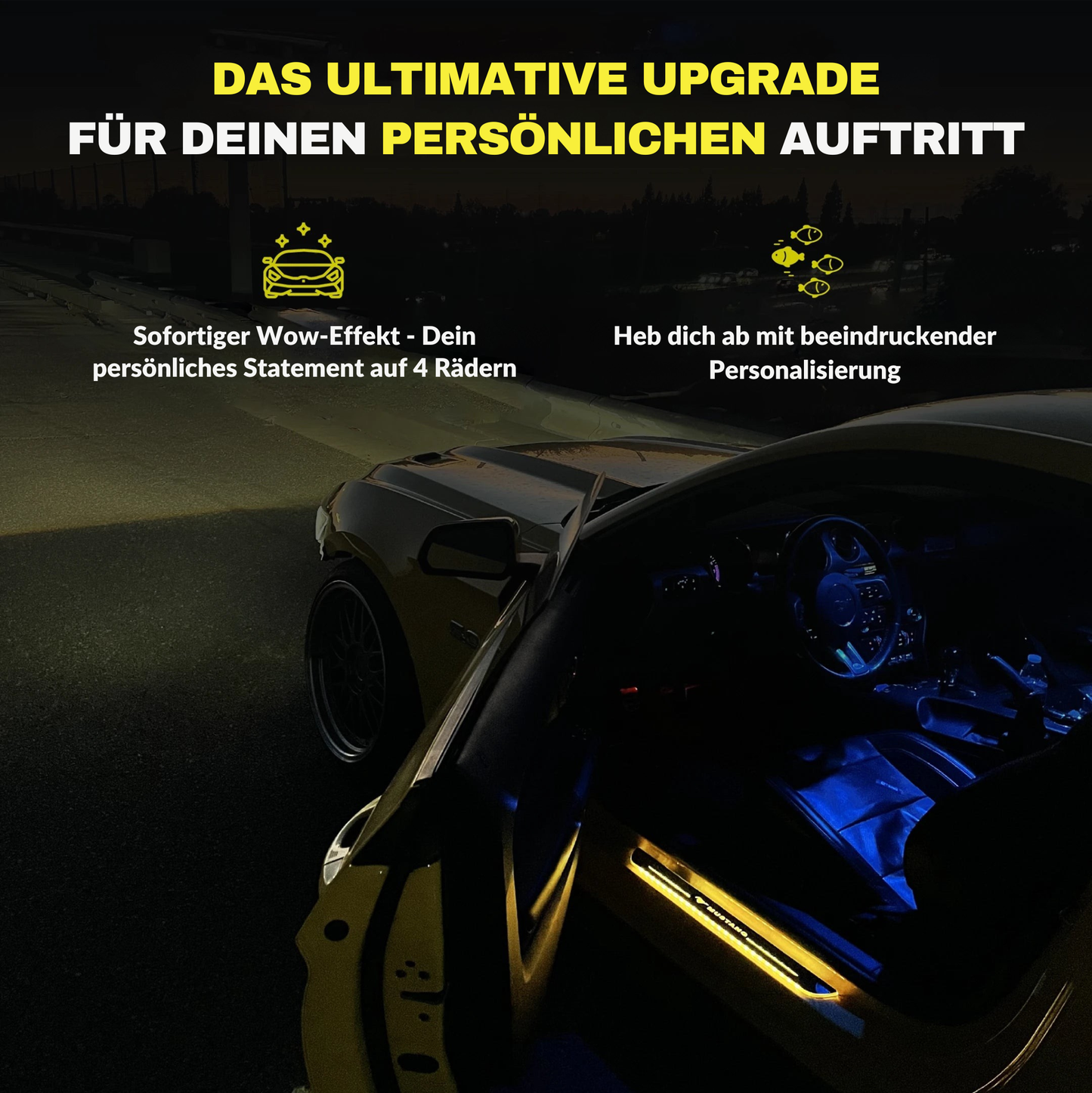 Autolumix LED-Einstiegsleiste